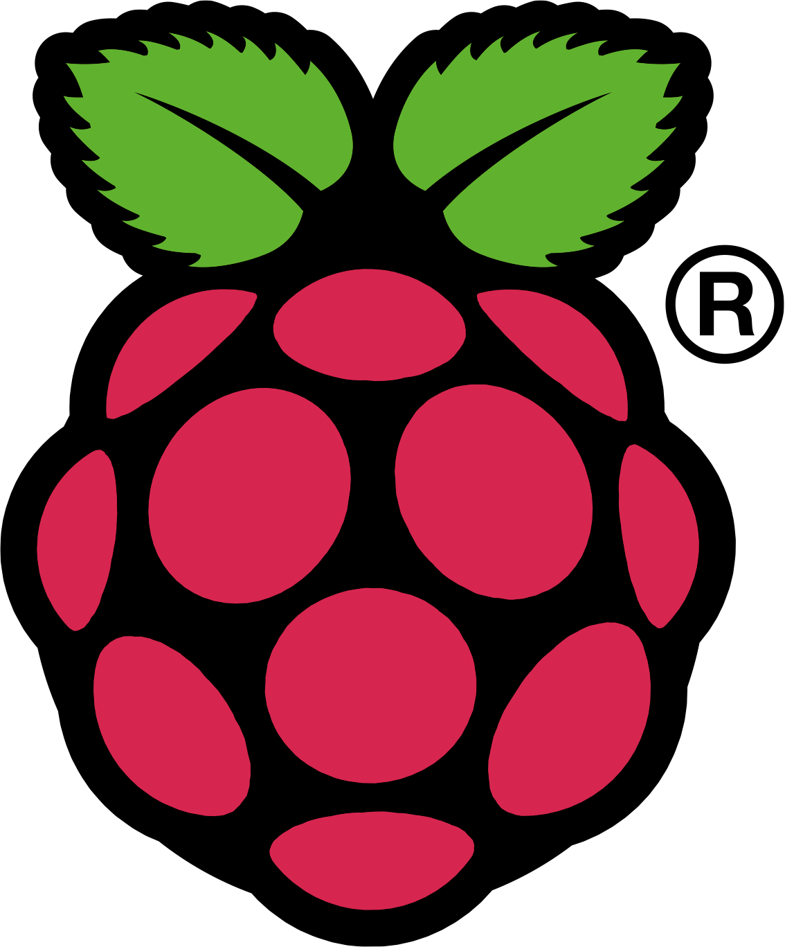 Logotipo de Raspberry Pi